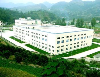 某房地产公司财务管理咨询案例