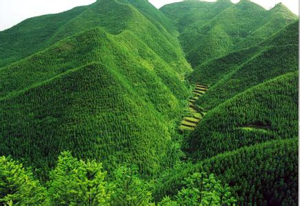 某旅游集团发展战略和流程优化咨询案例