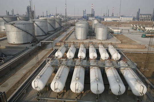 某大型石化企业人力资源管理咨询项目案例