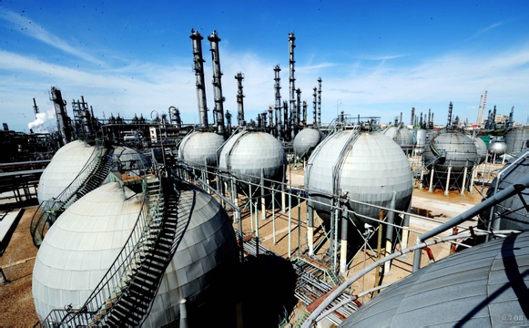 某化工股份有限公司人力资源咨询案例